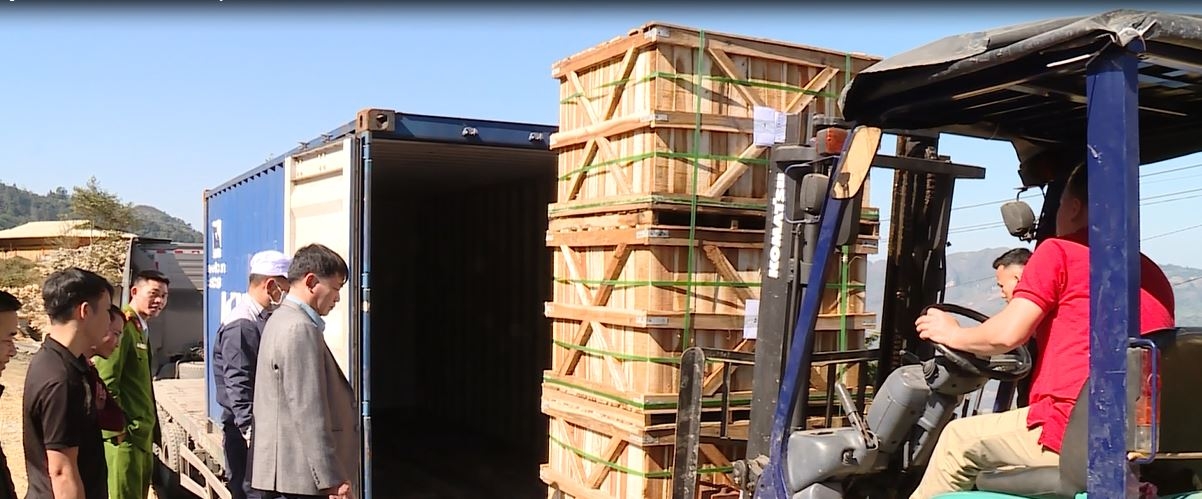 Hiệu quả trong liên kết sản xuất củ cải xuất khẩu ở huyện Xín Mần
