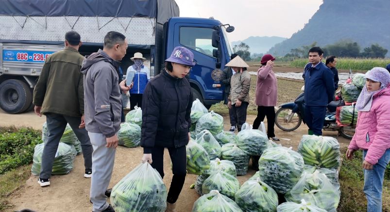 Ngành Nông nghiệp Bắc Quang tổ chức tiêu thụ nông sản đầu năm - Xuân Ất Tỵ 2025