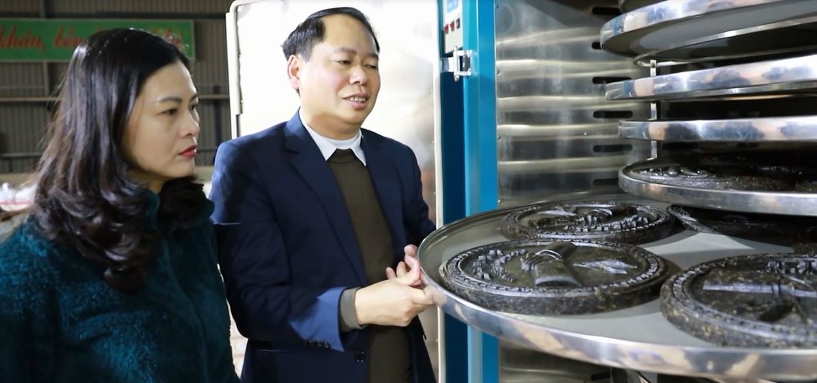 Phó Chủ tịch UBND tỉnh Vương Ngọc Hà thăm Công ty Chè cổ thụ Việt Nam