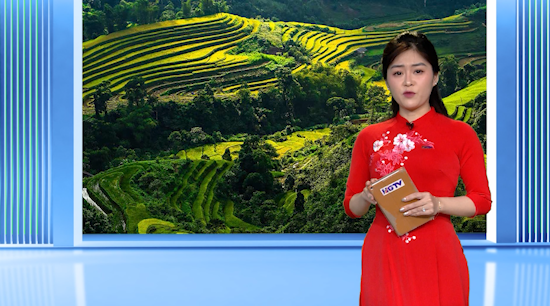 Dự báo thời tiết - Ngày 21/01/2025