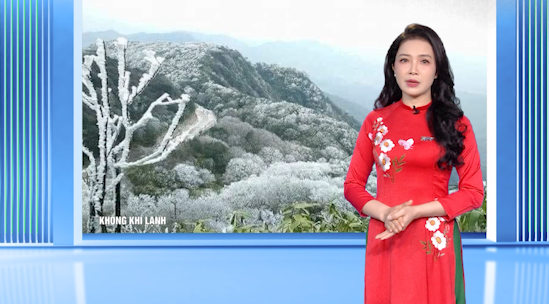Dự báo thời tiết - Ngày 26/01/2025
