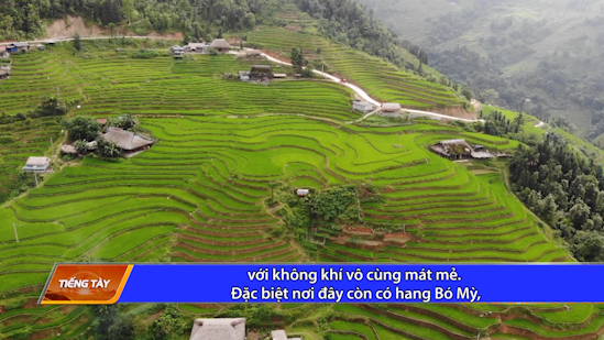 Văn hóa - văn nghệ dân tộc - Ngày 26/01/2025