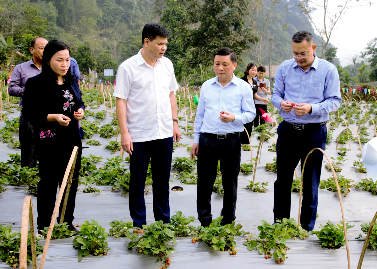 Trưởng ban Tổ chức Tỉnh ủy Nguyễn Minh Tiến làm việc với BTV Huyện ủy Quang Bình