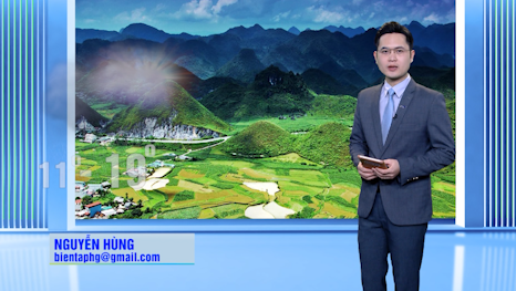 Dự báo thời tiết - Ngày 16/2/2024