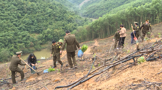 Hà Giang phấn đấu hoàn thành mục tiêu phát triển rừng năm 2025 - Ngày 9/2/2025