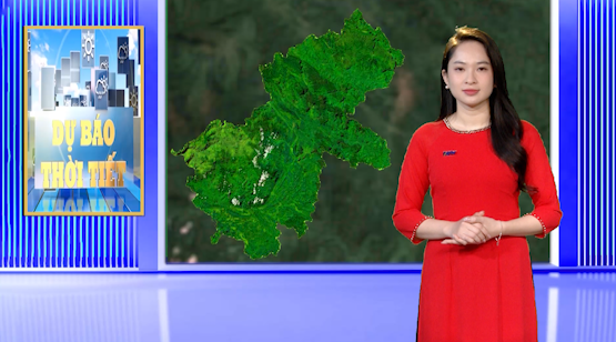 Dự báo thời tiết - Ngày 4/02/2025