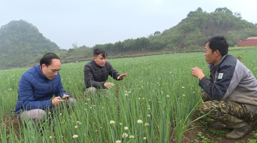 Hướng đến xây dựng nông thôn mới thông minh