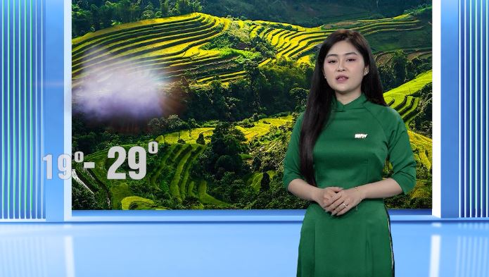Dự báo thời tiết - Ngày 17/3/2024