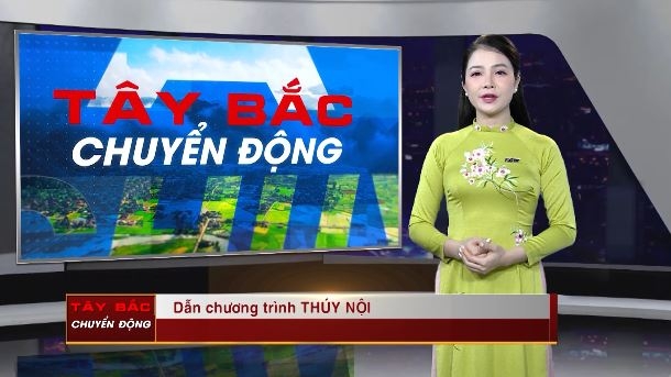 Tây bắc chuyển động - Ngày 6/3/2024