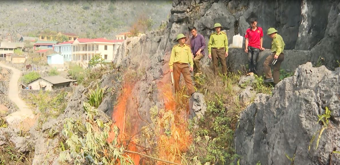 Chủ động phòng chống cháy rừng mùa khô