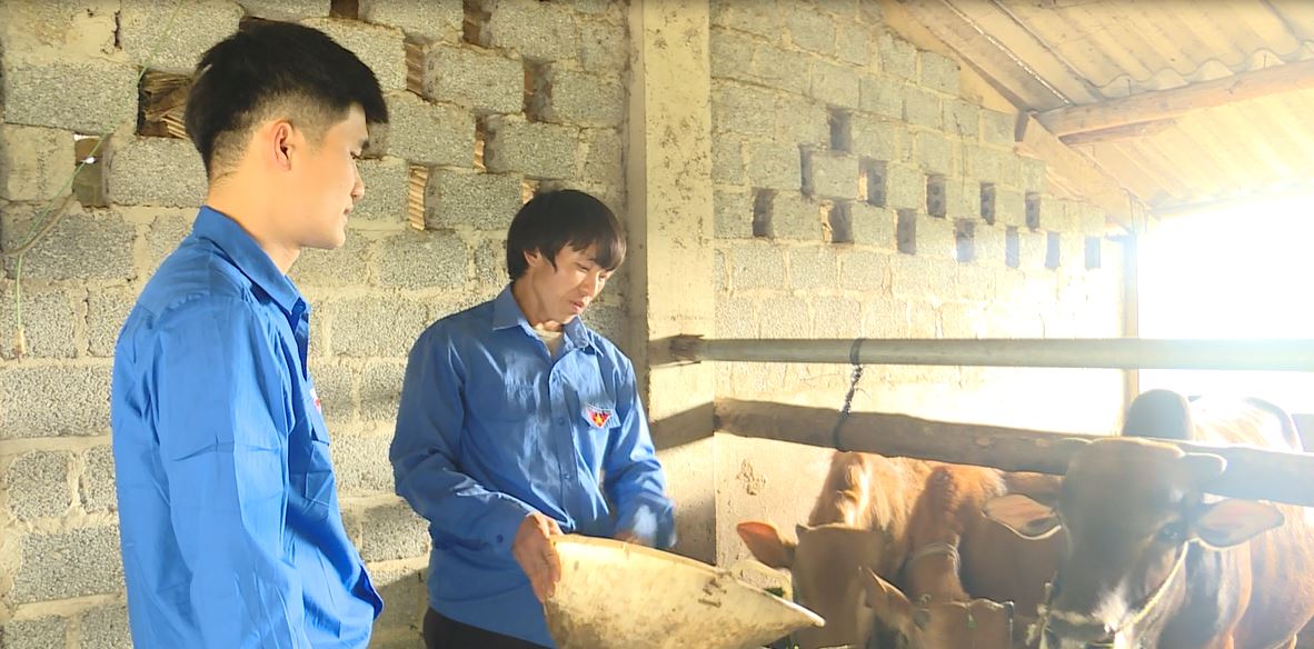 Bắc Mê: Hiệu quả nguồn vốn vay uỷ thác đối với đoàn viên, thanh niên