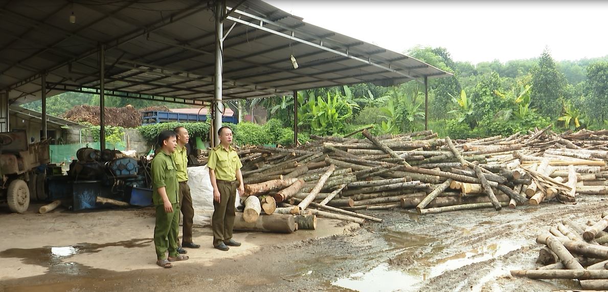 Bắc Quang tăng cường quản lý các cơ sở kinh doanh chế biến lâm sản