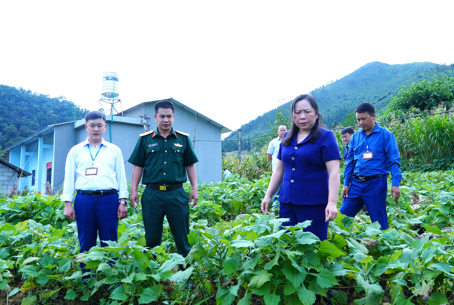 Ban CHQS huyện Mèo Vạc trao cây giống tặng hộ nghèo