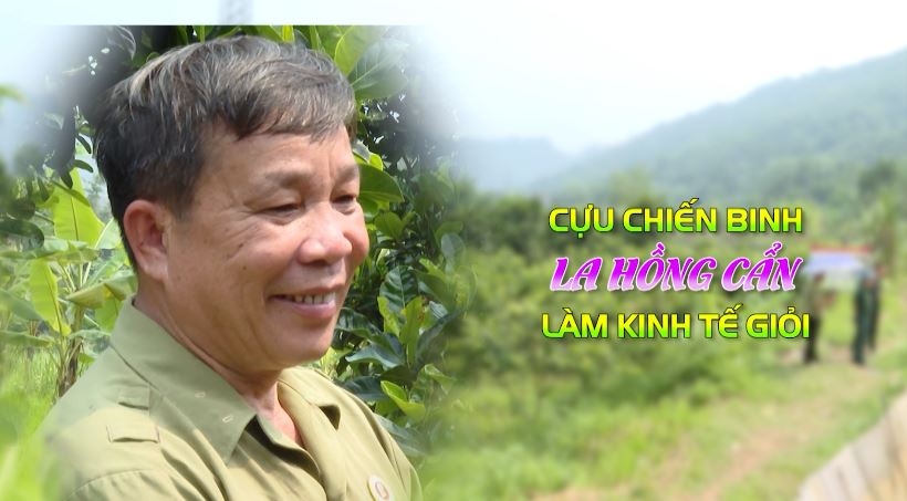 Cựu chiến binh La Hồng Cẩn làm kinh tế giỏi - Ngày 20/4/2023