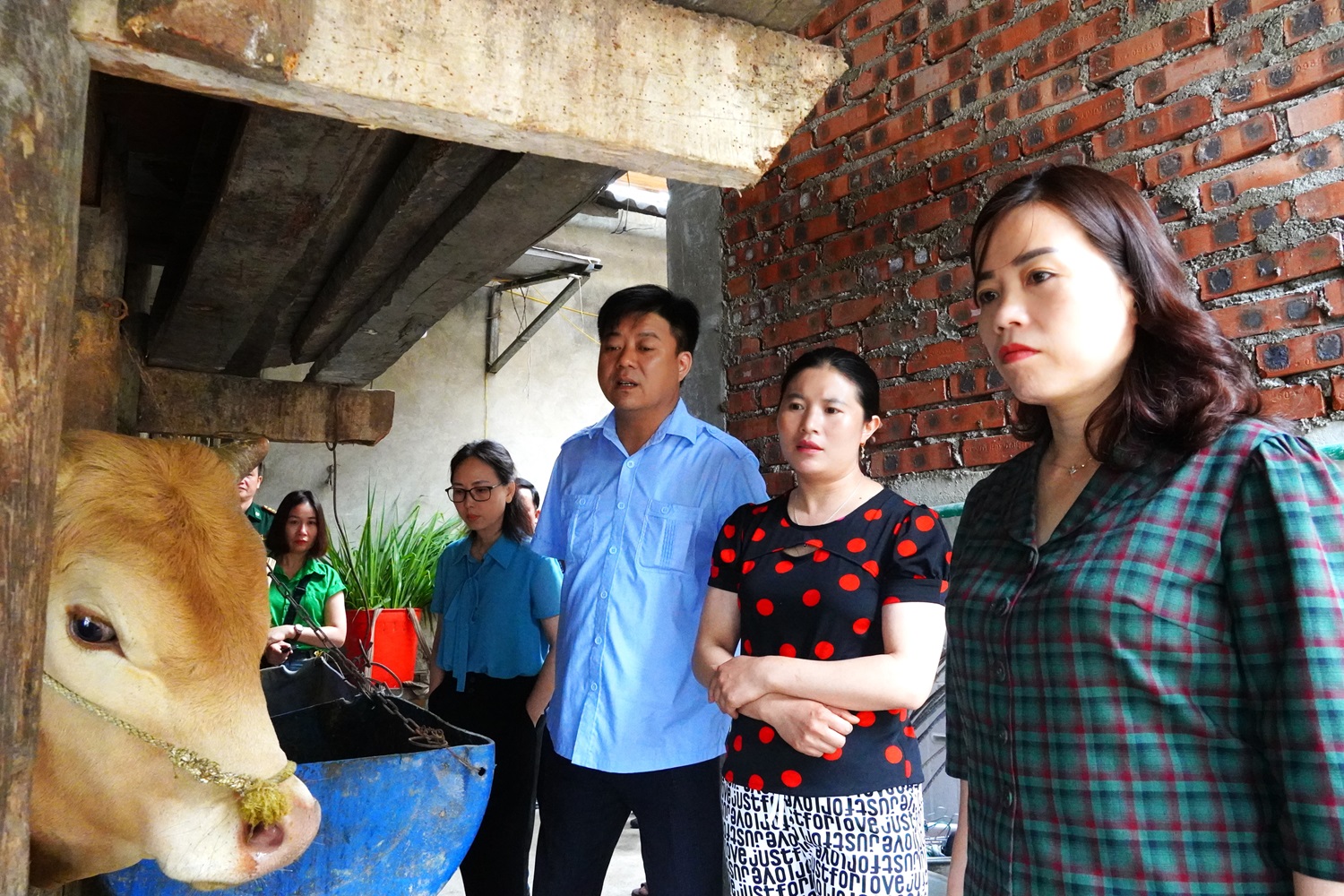 Đoàn Đại biểu Quốc hội tỉnh giám sát Chương trình mục tiêu quốc gia tại huyện Mèo Vạc