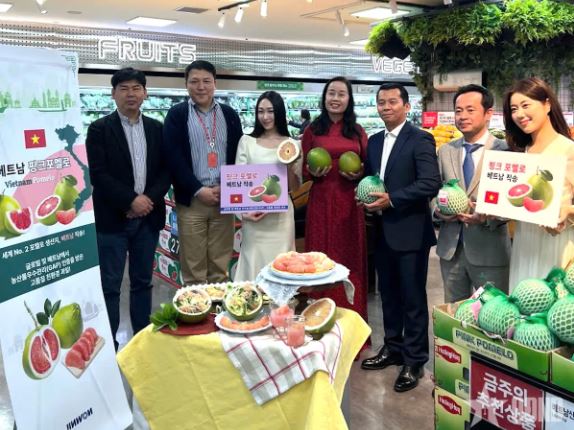 Bưởi Việt Nam có mặt tại chuỗi siêu thị lớn của Hàn Quốc