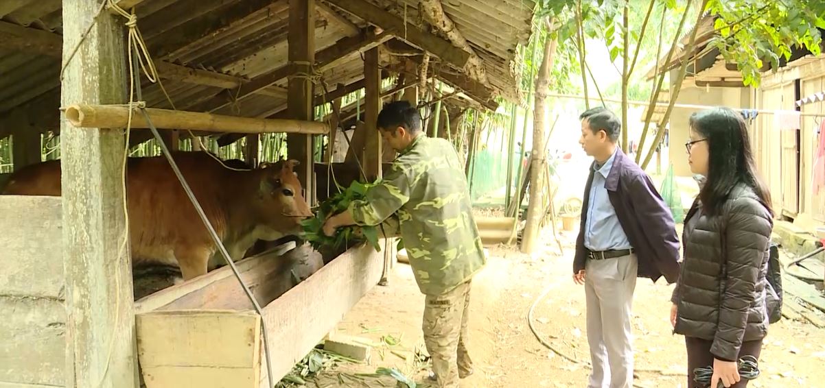 Hiệu quả các dự án, tiểu dự án thuộc chương trình mục tiêu quốc gia