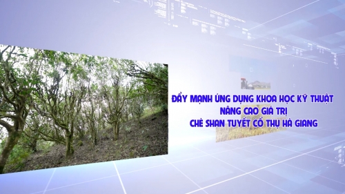 Ứng dụng KHCN trong DN và HTX - Ngày 28/4/2025