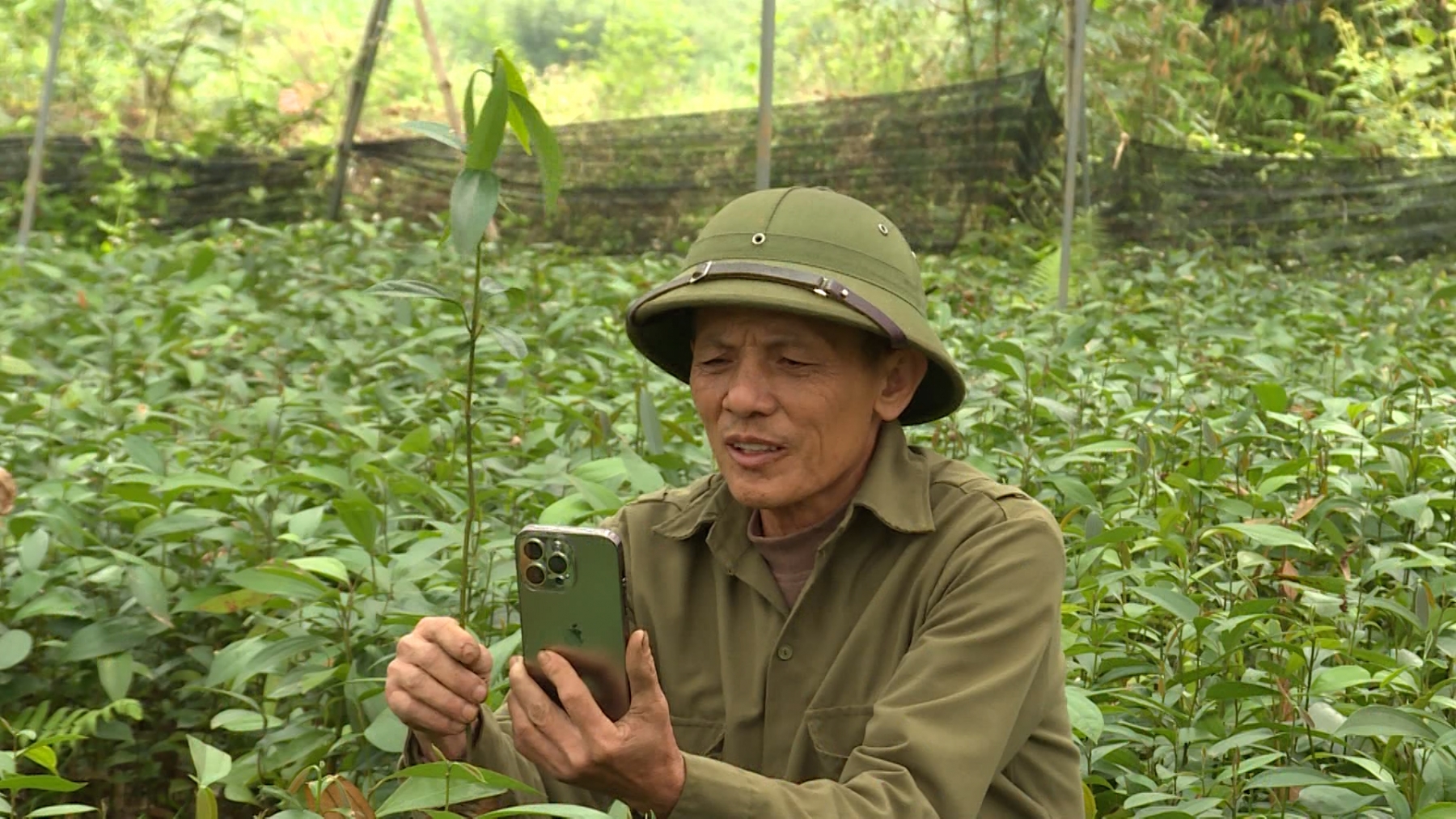 Phóng sự: Tỉnh Hà Giang tập trung phát triển nông nghiệp công nghệ cao - Ngày 20/4/2025