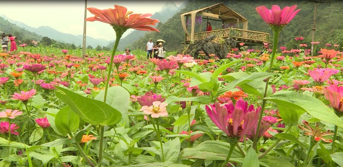 Hai mô hình khởi nghiệp phát triển dịch vụ du lịch mới thu hút khách kỳ nghỉ lễ