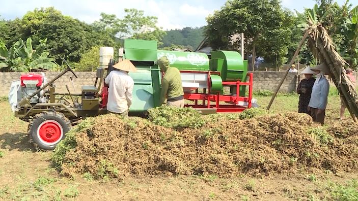 Nông nghiệp Hà Giang - Thúc đẩy nông nghiệp (Kỳ 3) - Ngày 14/5/2023
