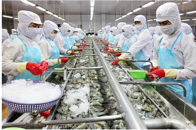 Thủ tướng yêu cầu nghiên cứu gói tín dụng 10.000 tỷ đồng hỗ trợ doanh nghiệp lâm, thủy sản