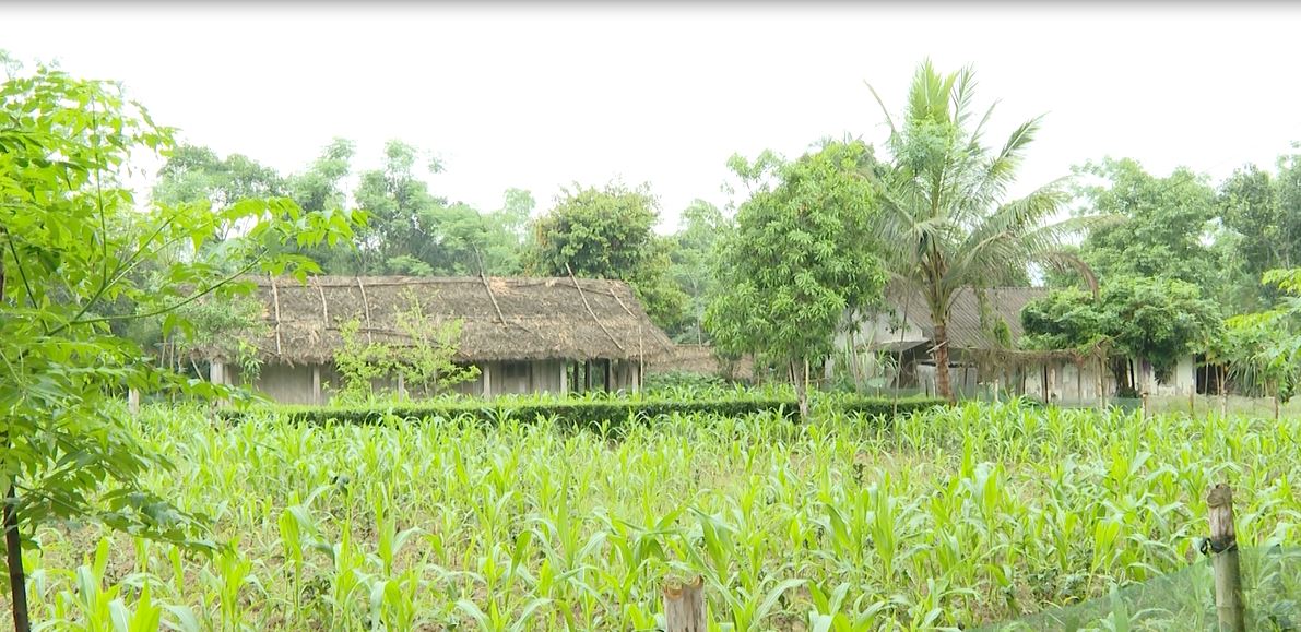 Quang Bình: Chậm bàn giao đất dự án 193 tại xã Tân Trịnh