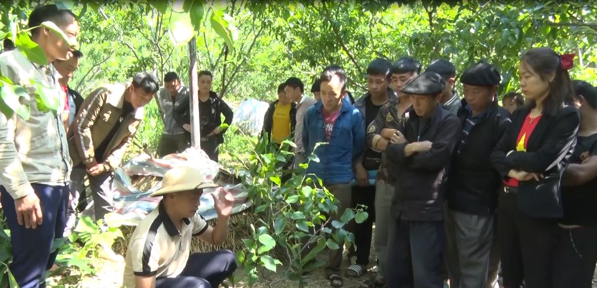 Huyện Đồng Văn quan tâm giải quyết việc làm cho lao động địa phương
