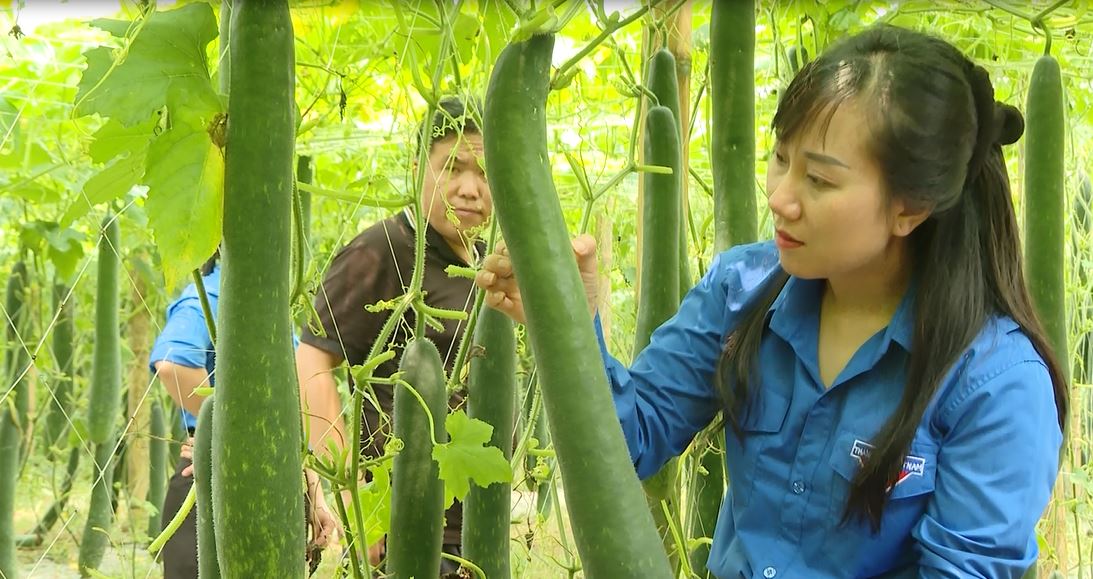 Thanh niên với các mô hình phát triển kinh tế giỏi