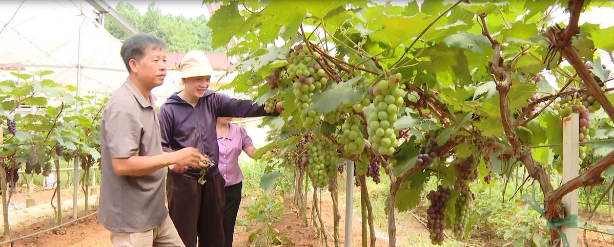 Sáp nhập ở Trung tâm Nông nghiệp và Môi trường – Khi người làm đúng việc