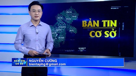 Bản tin cơ sở - Ngày 14/6/2025
