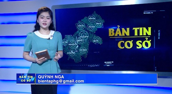 Bản tin cơ sở - Ngày 15/6/2025
