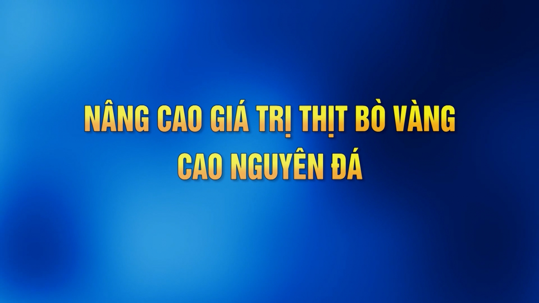 NÂNG CAO GIÁ TRỊ THỊT BÒ VÀNG CAO NGUYÊN ĐÁ