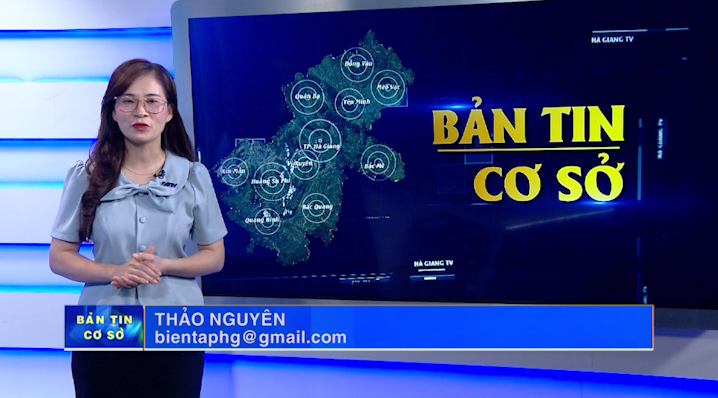 Bản tin cơ sở - Ngày 20/8/2024