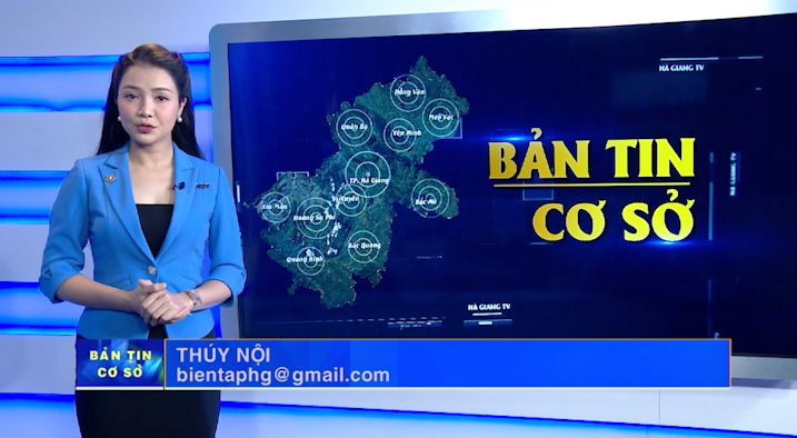 Bản tin cơ sở - Ngày 15/9/2024