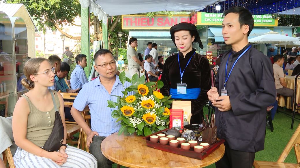 Chè Shan Tuyết – Vàng xanh nơi địa đầu cực Bắc tổ quốc