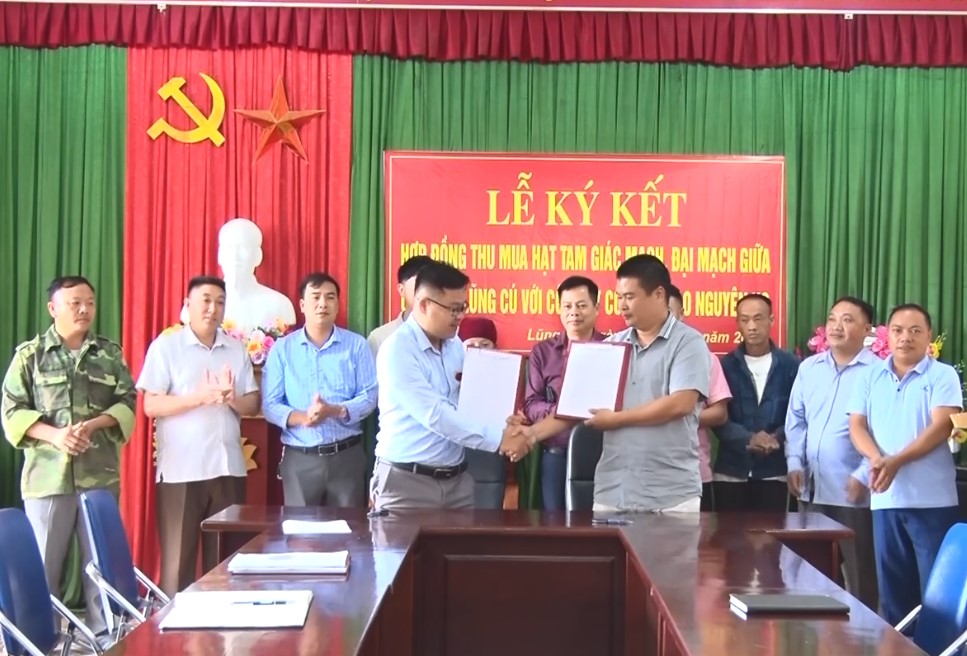 Đồng Văn: Lễ ký kết bao tiêu sản phẩm tam giác mạch và đại mạch