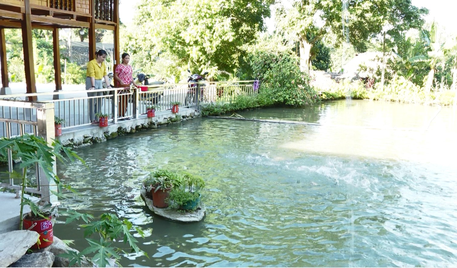 Kết hợp mô hình Dân vận khéo với phát triển kinh tế