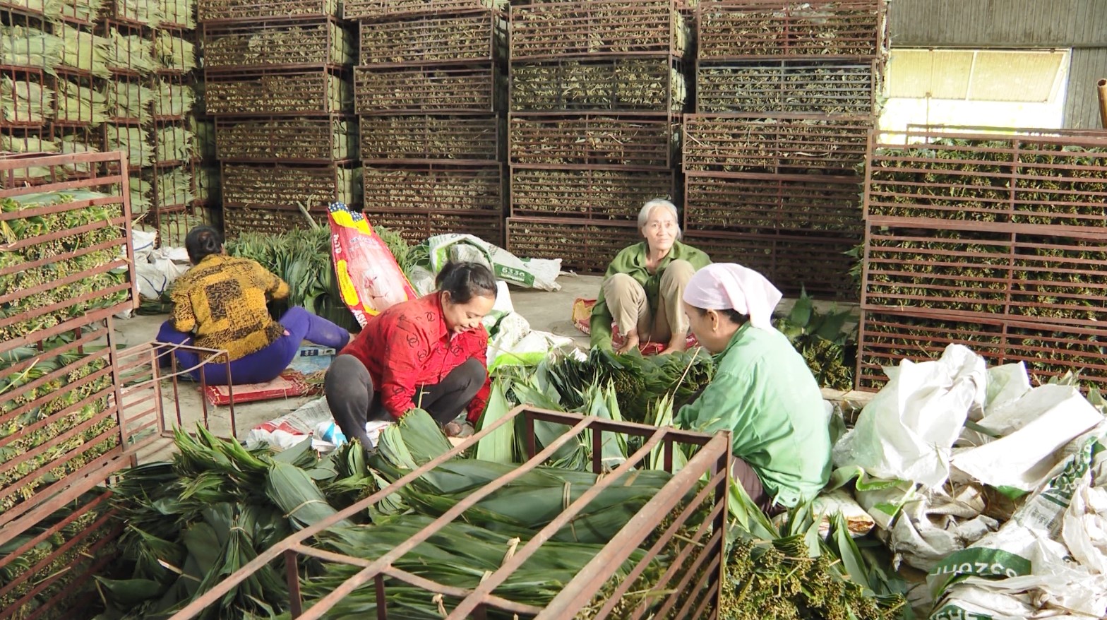 Phong trào Khởi nghiệp ở Hội Liên hiệp Phụ nữ huyện Bắc Quang