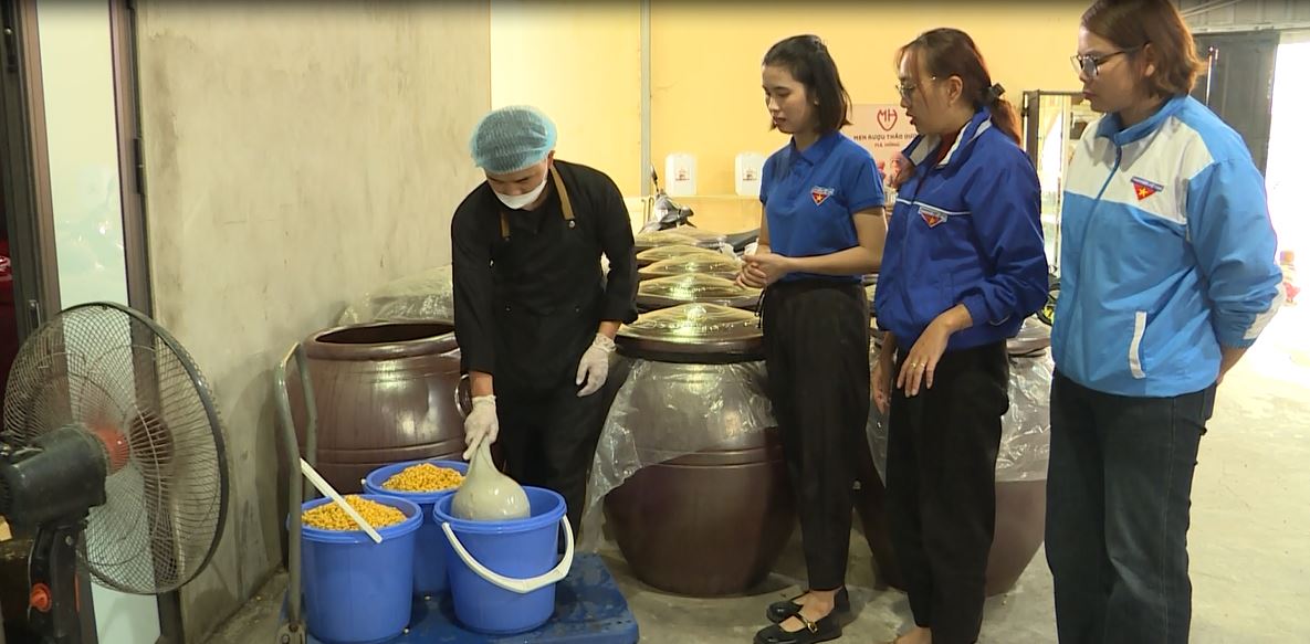 Hiệu quả dự án bảo tồn và phát triển men lá truyền thống