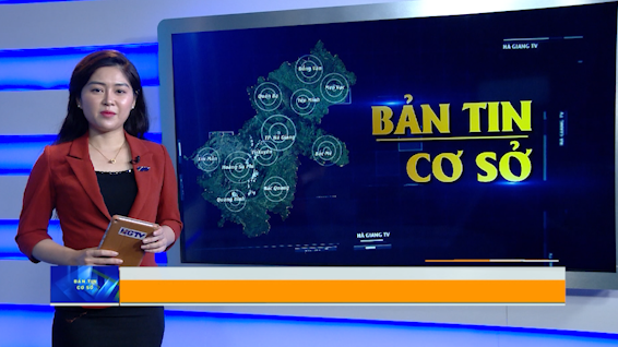 Bản tin cơ sở - Ngày 25/10/2024