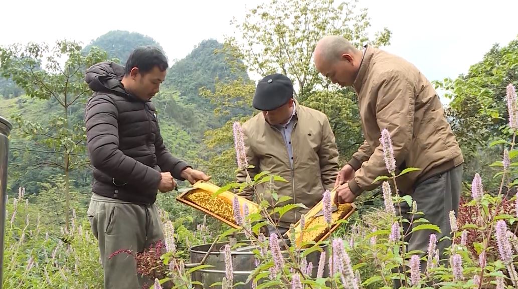 Thúc đẩy quảng bá, giới thiệu và tiêu thụ 3 sản phẩm đặc trưng của tỉnh