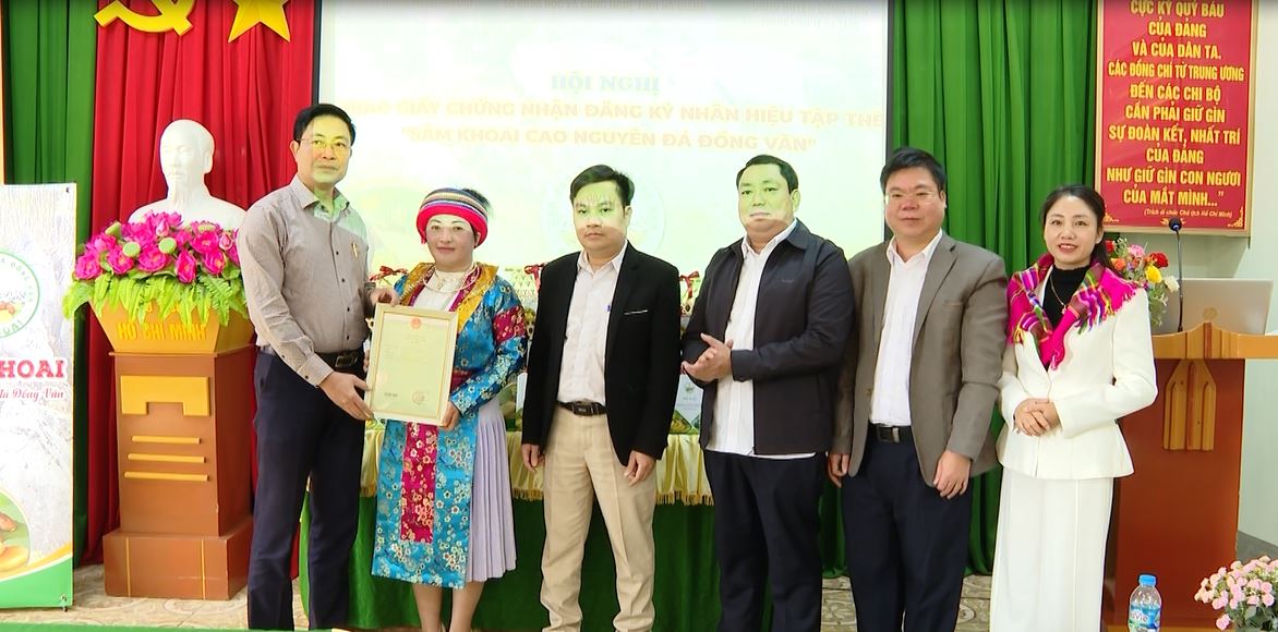 Nhãn hiệu tập thể-cơ hội để Sâm khoai Cao nguyên đá Đồng Văn vươn xa