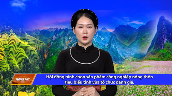 Thời sự tiếng Tày - Ngày 4/11/2024