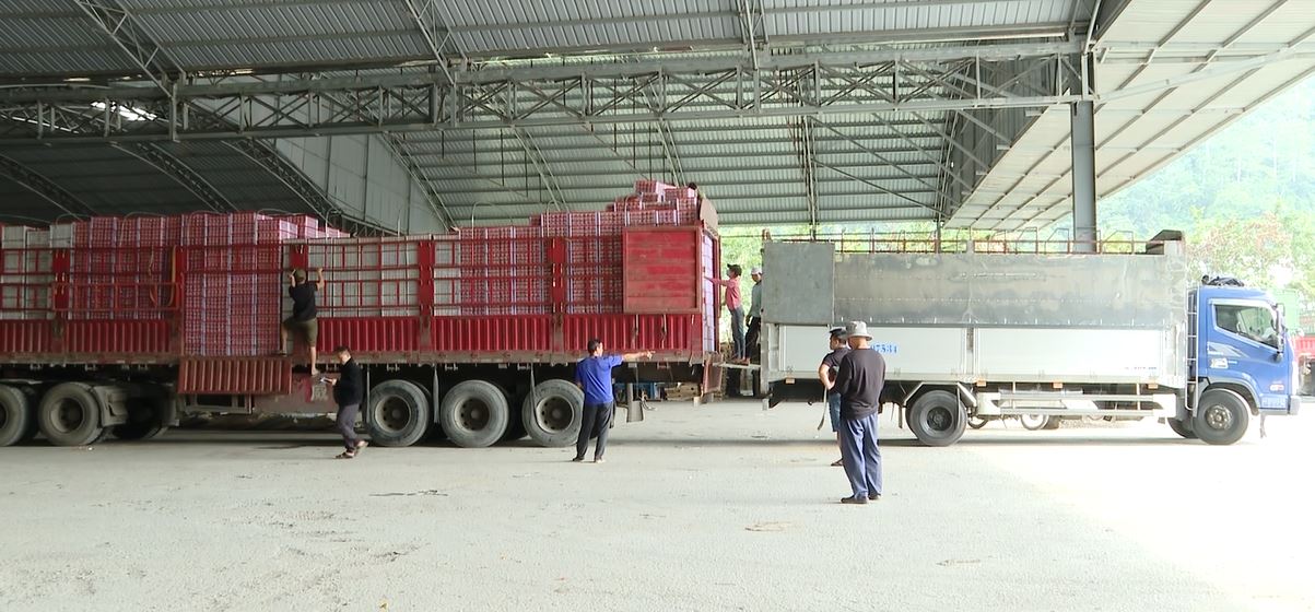 Hà Giang nỗ lực thúc đẩy Logistics