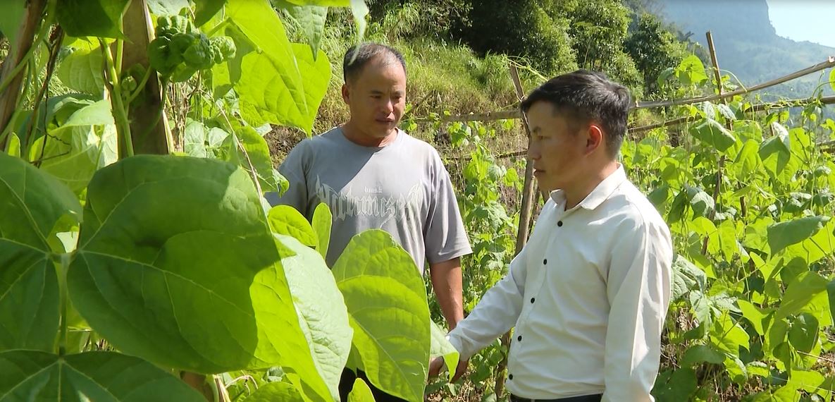Phát triển các mô hình kinh tế nâng cao thu nhập cho hộ nghèo