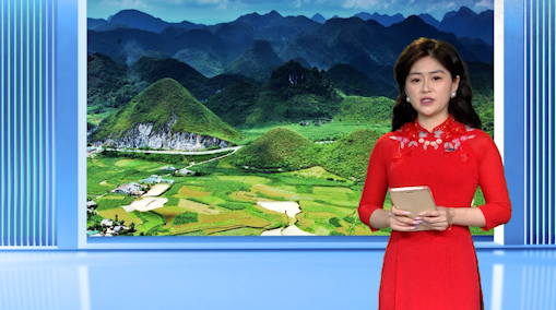 Dự báo thời tiết - Ngày 31/12/2024