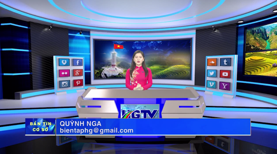 Bản tin cơ sở - Ngày 30/11/2021