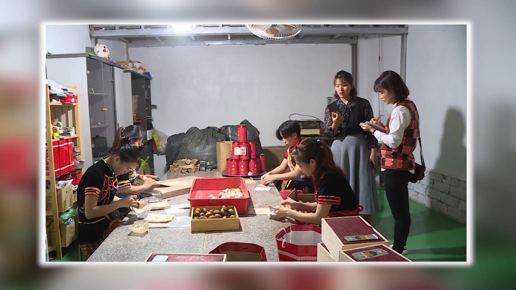 Tháo gỡ khó cho các HTX phát triển bền vững - Ngày 18/10/2022
