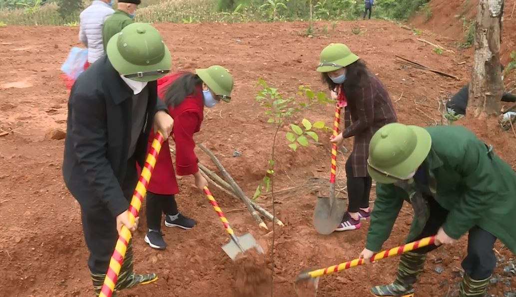 Các địa phương, đơn vị tổ chức "Tết trồng cây" xuân Nhâm Dần 2022